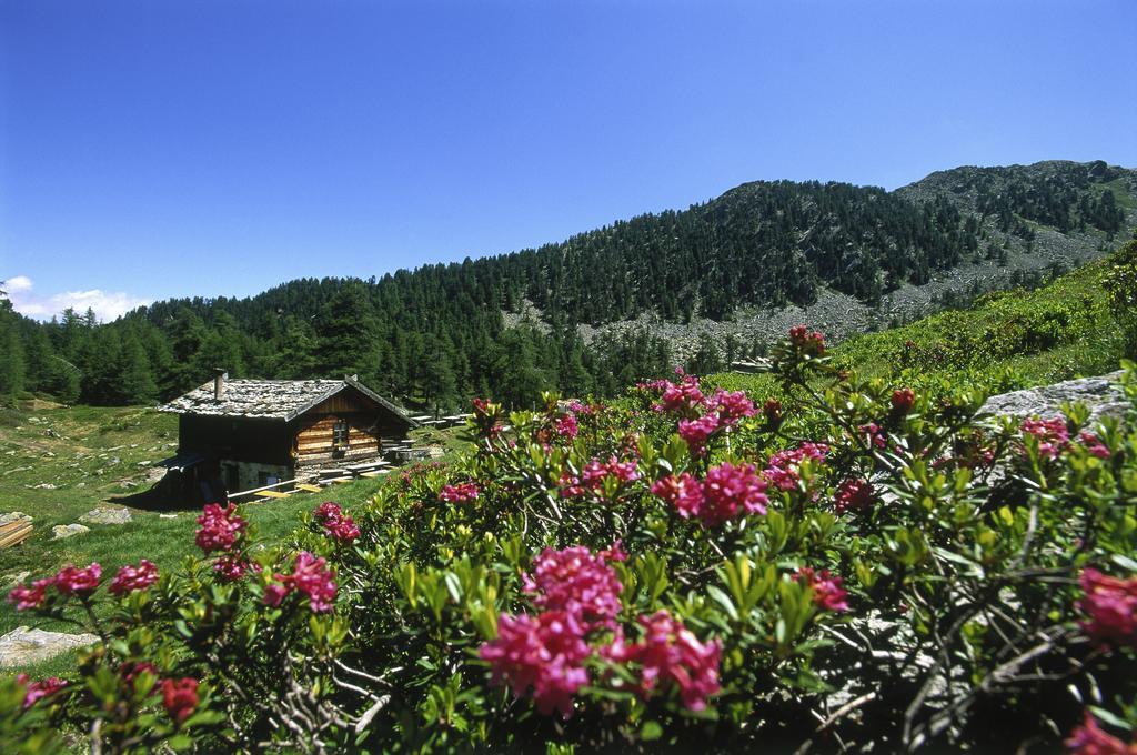 Residence Feldhof กาสเตลเบลโล ภายนอก รูปภาพ